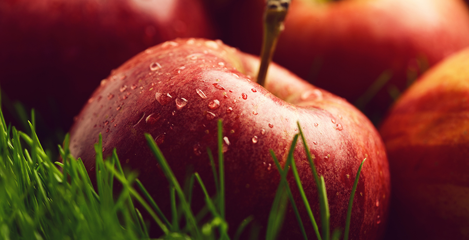 Veinlite Ledx, Devlet Malzeme Ofisi, DMO, Damar Saptayıcı, Damar Saptama Cihazı, Damar Görüntüleme Cihazı, Damar Bulma Cihazı